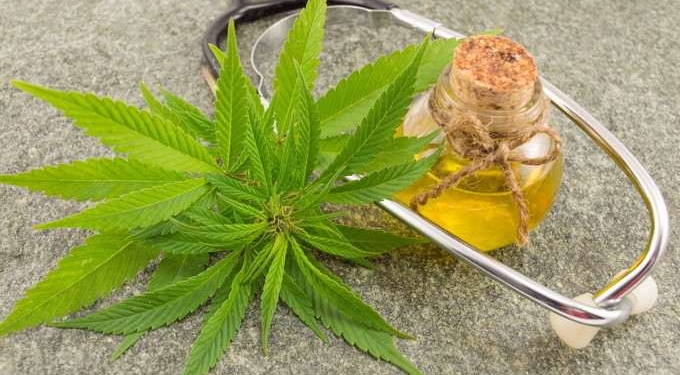 CBD Oil vs Hemp Oil: The Differences