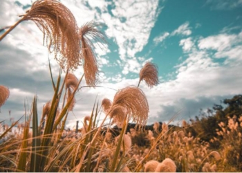 Die Before You Die and Know You Never Will