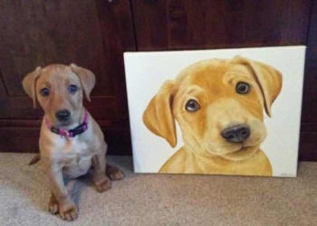 5 Fascinating Facts to Keep Dog Portraits at Your Home