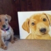 5 Fascinating Facts to Keep Dog Portraits at Your Home