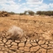 A Call to Action as Planet’s Essential Groundwater is Being Rapidly Depleted