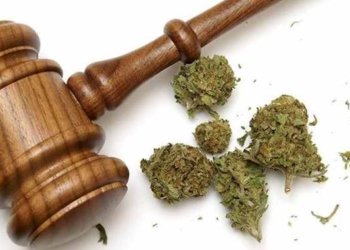 Happy New Year! Over 11,000 Pardoned for Cannabis Crimes as Illinois Legalizes Marijuana