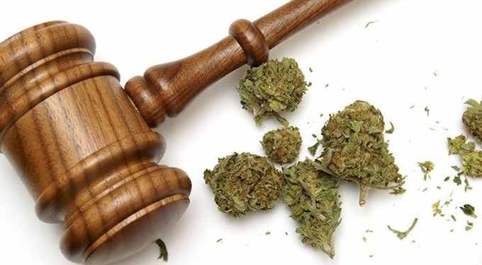 Happy New Year! Over 11,000 Pardoned for Cannabis Crimes as Illinois Legalizes Marijuana