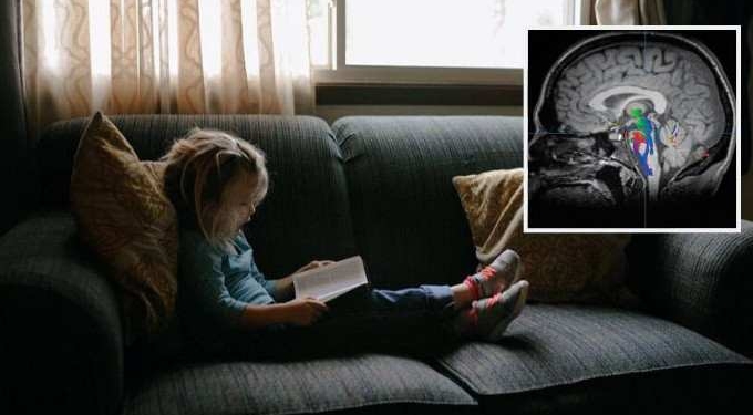 Toxic Chemicals Are Stealing Millions of IQ Points From Kids in the US, New Study Shows