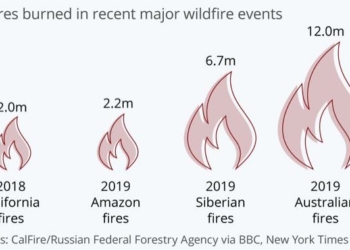 Australian Fires Biggest In The World And 5 Times Larger Than Amazon Fires