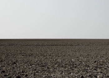 We Risk Living in an ‘Empty World’ If Assault on Nature Not Stopped, Warns UN Biodiversity Chief