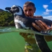 Penguin Returns Every Year to Reunite With the Man Who Saved His Life