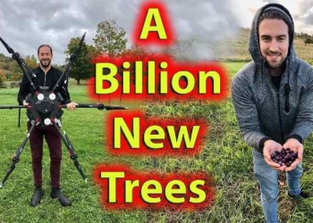 Canadian Scientists Develop Plan to Plant Over A Billion Trees Using Drones