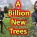 Canadian Scientists Develop Plan to Plant Over A Billion Trees Using Drones