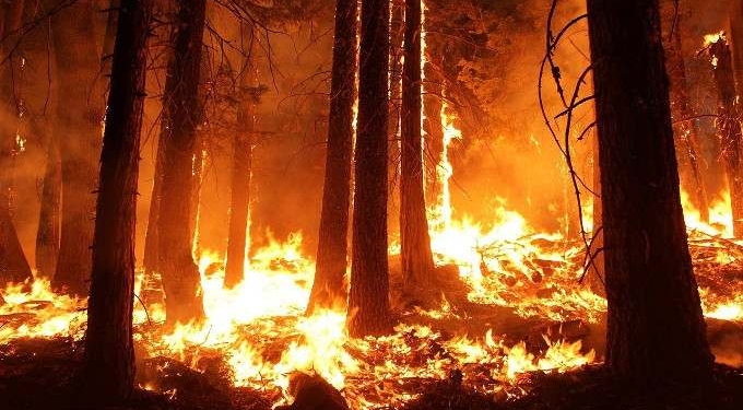‘Green New Dud, Not a Green New Deal’: Climate Groups Denounce Draft Bill From House Democrats