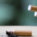 ‘Exciting’ Study Shows How Quitting Smoking Can ‘Magically’ Heal Damaged Lungs