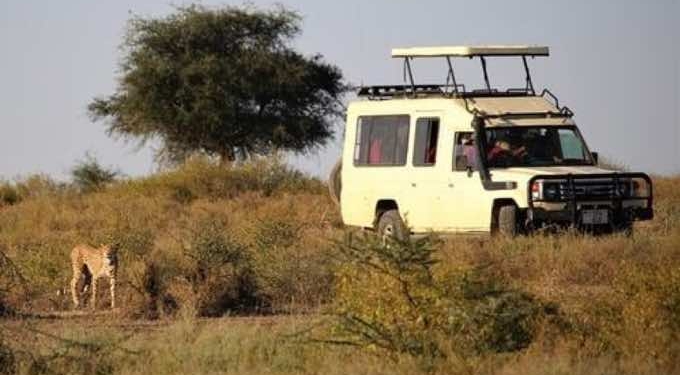 East Africa Travel Tips: 5 Things You Should Know Before Traveling to Kenya