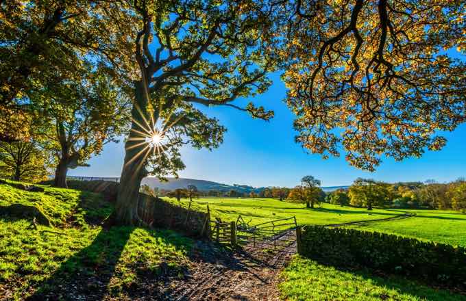 Must-Have Farming Equipment For Your Small Farm