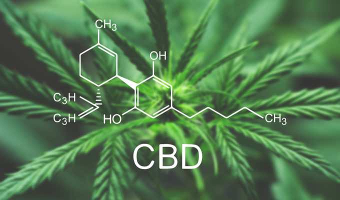 The Popular Ingredient We’re All Talking About: All About CBD