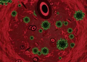 New York to Become First State to Treat COVID-19 With Plasma From Recovered Patients