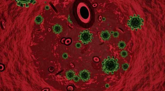 New York to Become First State to Treat COVID-19 With Plasma From Recovered Patients