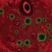 New York to Become First State to Treat COVID-19 With Plasma From Recovered Patients
