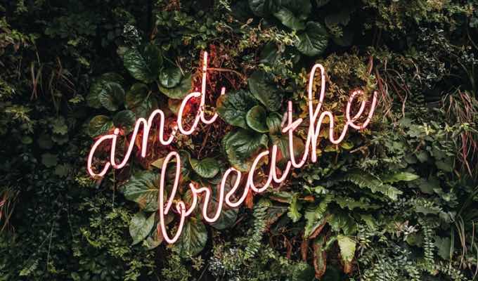 Start Your Day Right with These Fresh Routines [5 Habits]