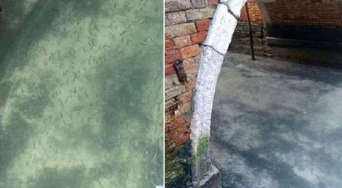Fish Are Visible In Venice Canals As Water Becomes Clearer Following Italy’s Lockdown