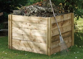Simple Yet Effective Ways to Become More Eco-Friendly