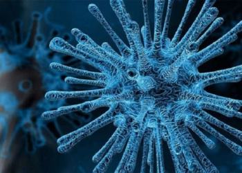 Controversial Theories Suggest Coronavirus Created In A Lab