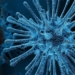 Controversial Theories Suggest Coronavirus Created In A Lab