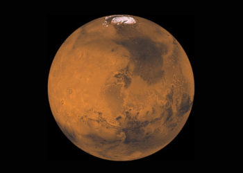 Scientists Say That NASA Rover May Have Found Evidence of Life on Mars