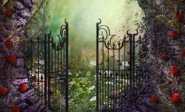 How to Expand Yourself, Beyond the Conditioning