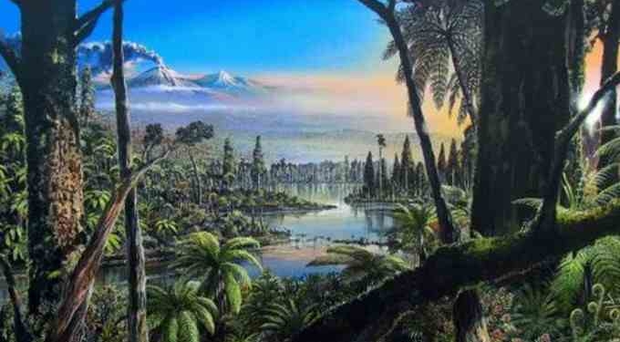 Researchers Find Undersea Evidence Of Rainforests In Antarctica