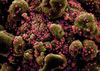 This Is What The Coronavirus Does To Your Body That Makes It So Deadly