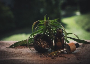 6 Unknown Reasons You Might Need CBD & Hemp Seed Oil