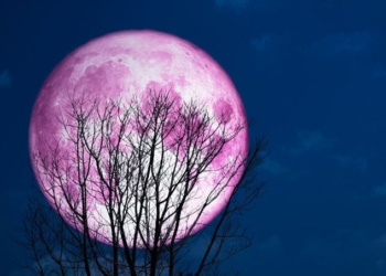 The Upcoming ‘Super Pink Moon’ Will Be the Biggest and Best of 2020