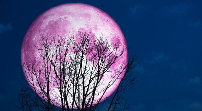 The Upcoming ‘Super Pink Moon’ Will Be the Biggest and Best of 2020