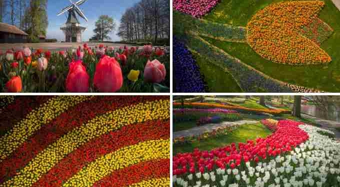 The Most Beautiful Garden in the World Has No Visitors for the First Time in Over 70 Years