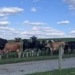 Instead Of Dumping Out Their Milk, Dairy Farmers Bottle It Themselves—Sell Out In Hours