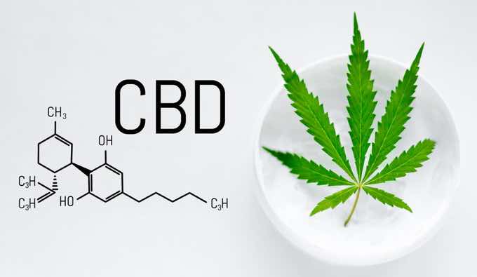 Is CBD Right For Me? How To Find Out