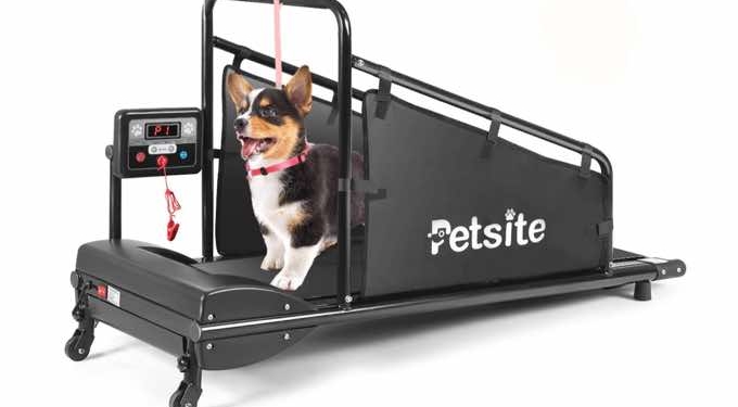 Why Exercising With Dog Treadmills Is Important For Canine Development