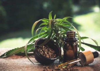 Hemp Is Economically And Environmentally Sustainable