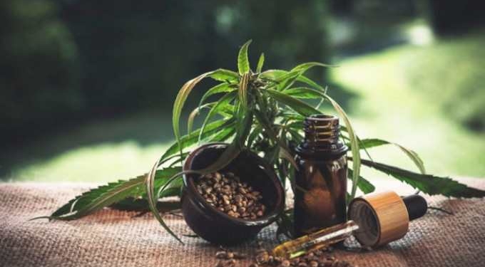 Hemp Is Economically And Environmentally Sustainable