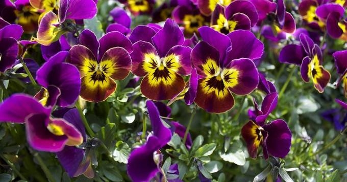 Now Is the Time to Practice Beauty