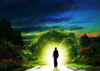 What Freedom Means to Me