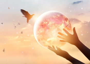 The World We All Know is Possible: A New Vision for Humanity