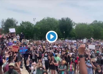 ‘This Is Incredible’: Enormous Crowds Flood Streets Across US Demanding End to Police Brutality and Justice for George Floyd