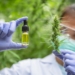 Data Show Cannabis Terpenes May Slow COVID-19 Infection