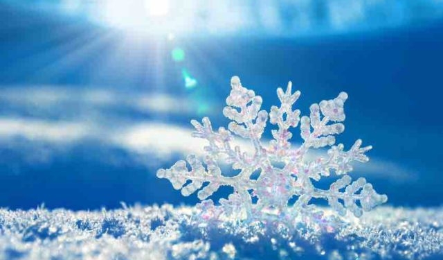 My Life Message and Why it is Yours Too – My 7 Essential Elements