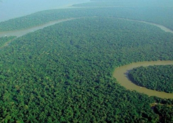 The Cure of the Earth | by Charles Eisenstein