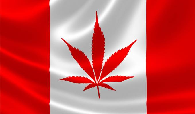 The Legalization & Distribution Of Marijuana In Canada