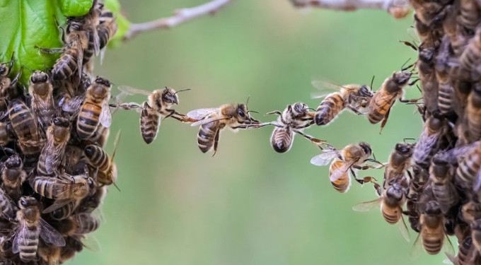 Eight Keys to Bridging Our Differences