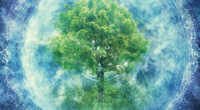 The Science Of Plant Intelligence Takes Root
