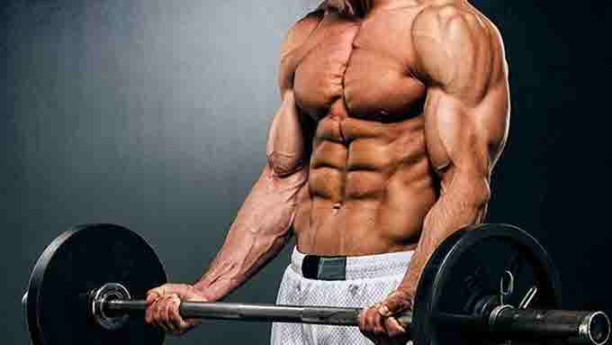 Comprehensive Guide For Buying SARMs